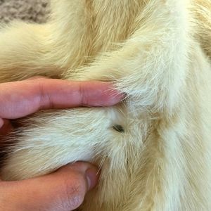 lady seller don't be angry